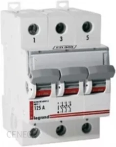 FR 303 100A_Rozłącznik izol.